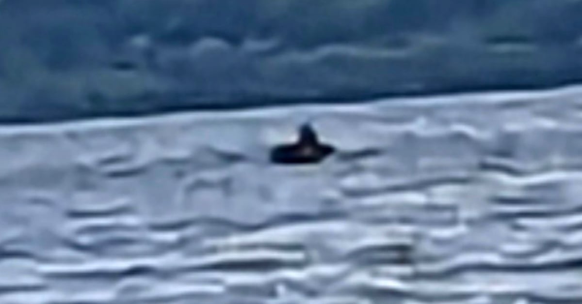 Loch Ness Monster Sighting
