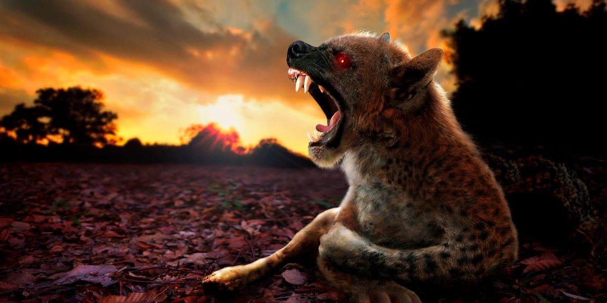 is-the-chupacabra-real