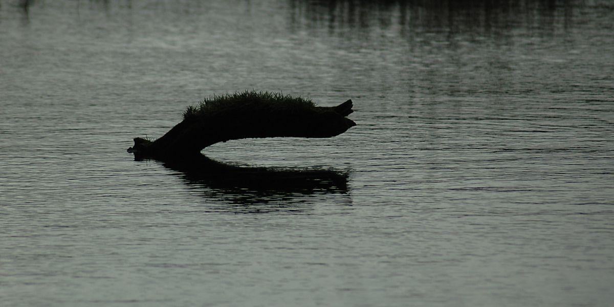 hudson-river-monster