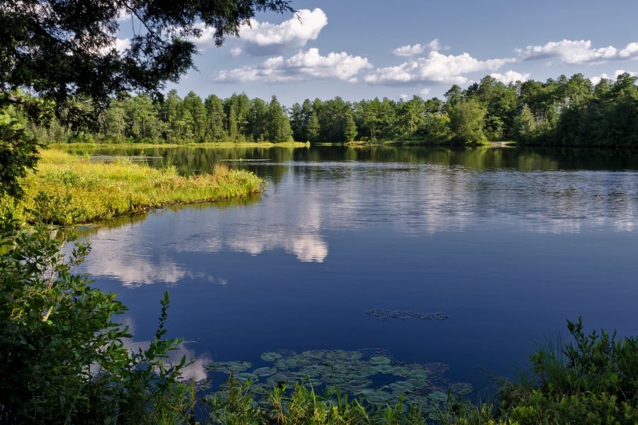 pine barrens new jersey