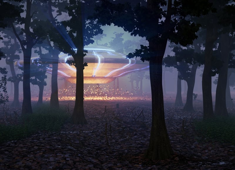 ufo landing in a forest
