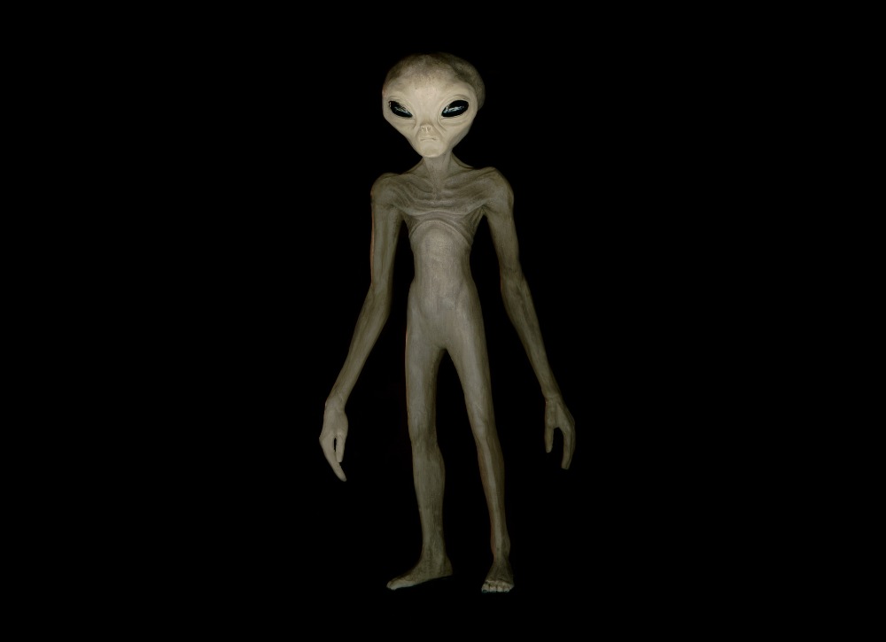 alien creature alien creature