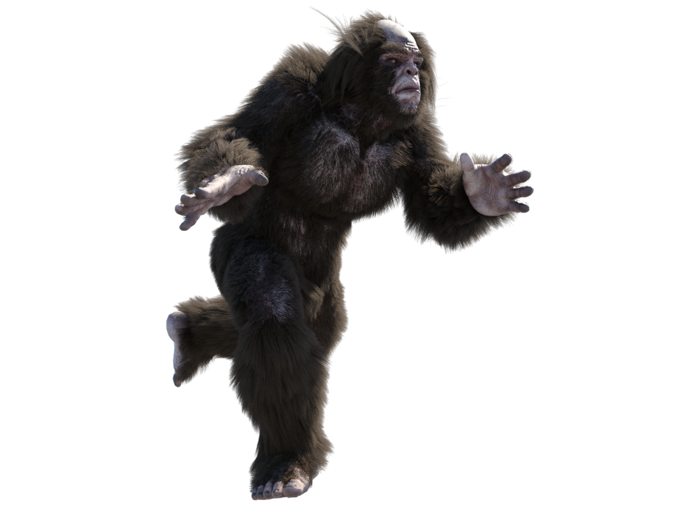 bigfoot bigfoot