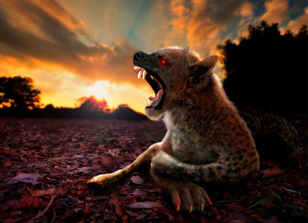 chupacabra